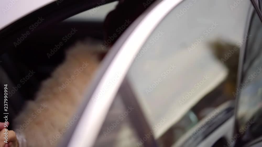cute bride in a wedding dress out of the car to her husband cute bride in a wedding dress out of the car to her husband