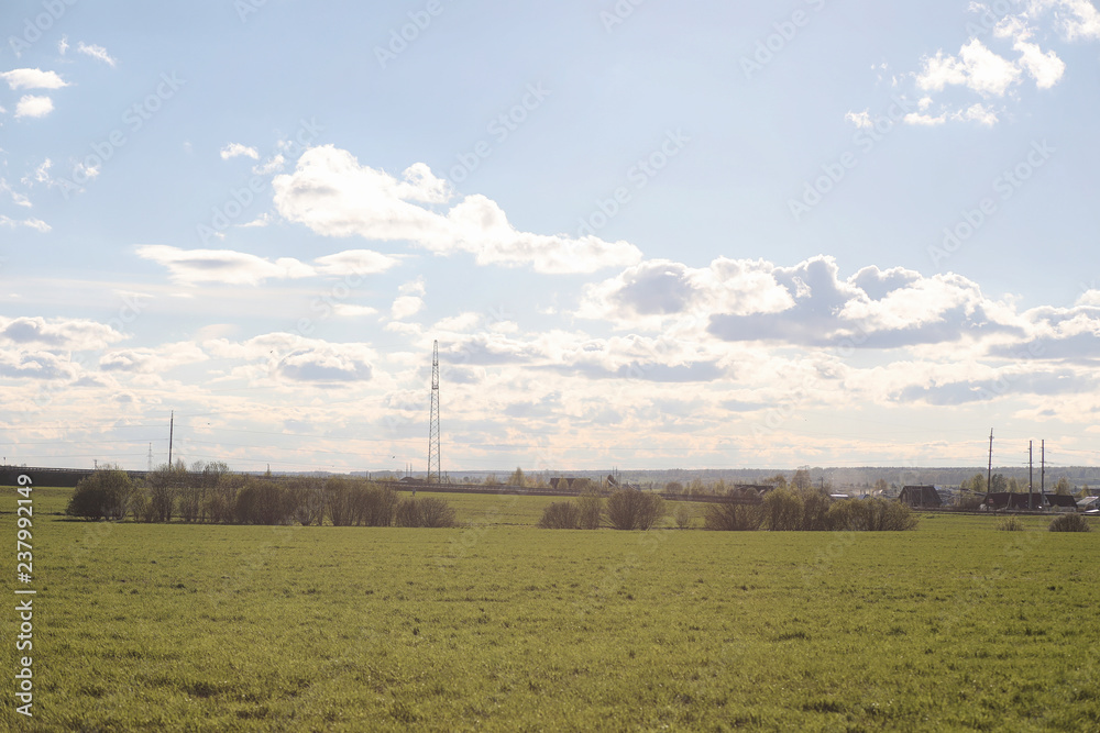 Landscape is summer. Green trees and grass in a countryside landscape. Nature summer day. Leaves on the bushes. Landscape is summer. Green trees and grass in a countryside landscape. Nature summer day. Leaves on the bushes.