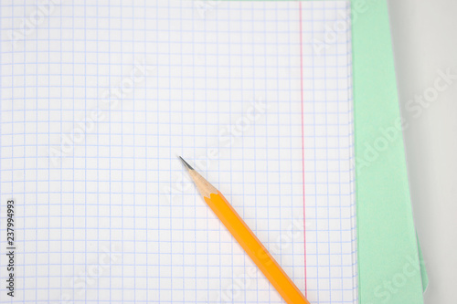 Notebook in a cage. The tetrad sheet occupies the entire space of the frame. On a notebook sheet is a pencil. View from above. Close-up.