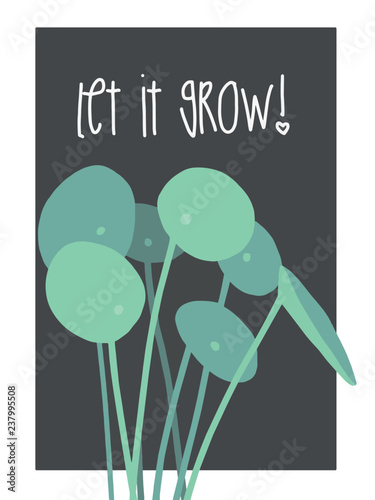 Vector popular Pilea peperomioides chinese money ufo plant illustration