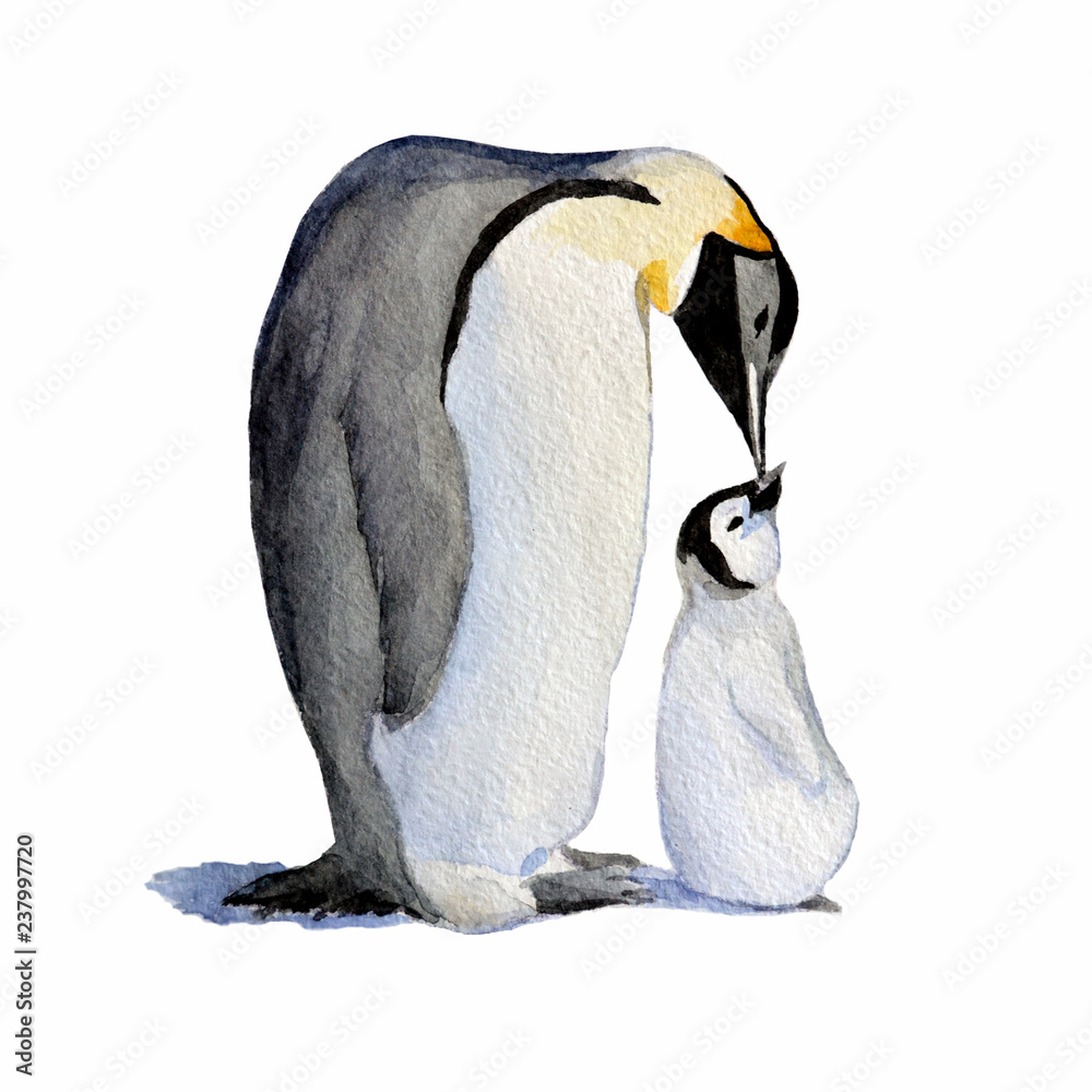 Fototapeta premium Watercolor mother and baby penguins.