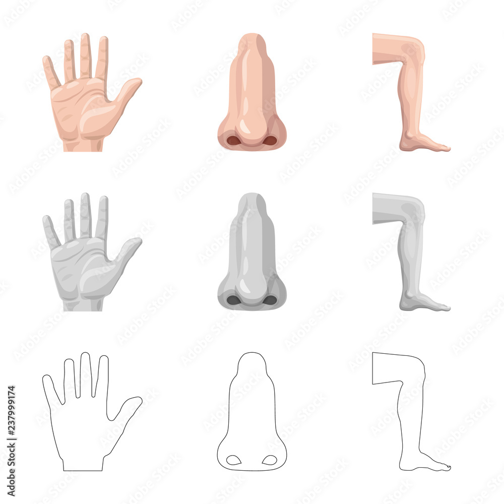Vector design of human and part symbol. Set of human and woman stock vector illustration.