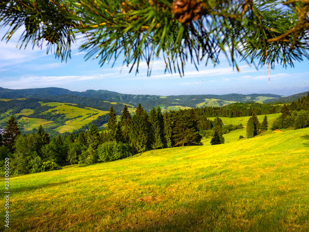 Obraz premium Beskid Sadecki and Radziejowej Range from Pieniny Mountains in summer. View from near Mount Jarmuta.