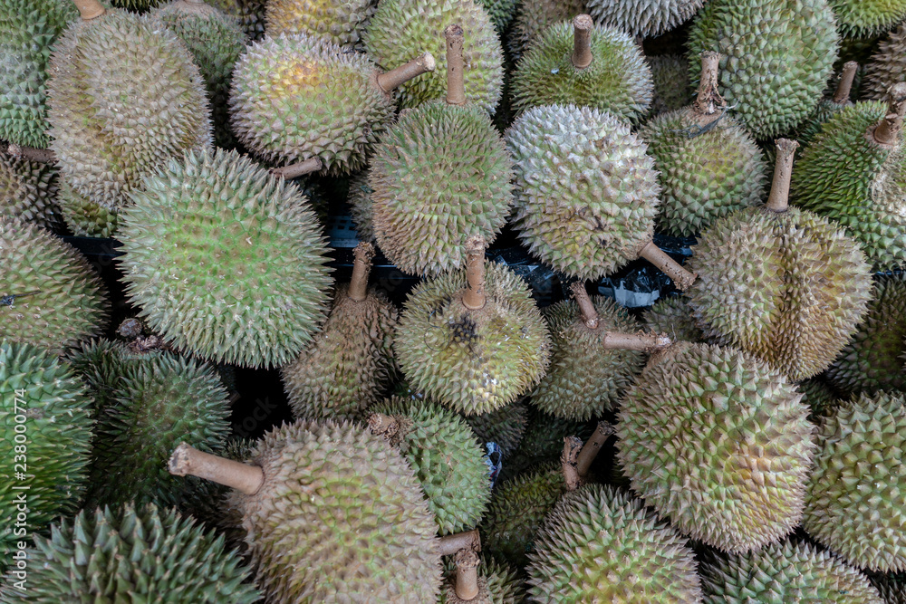 Fresh Durians Fresh Durians