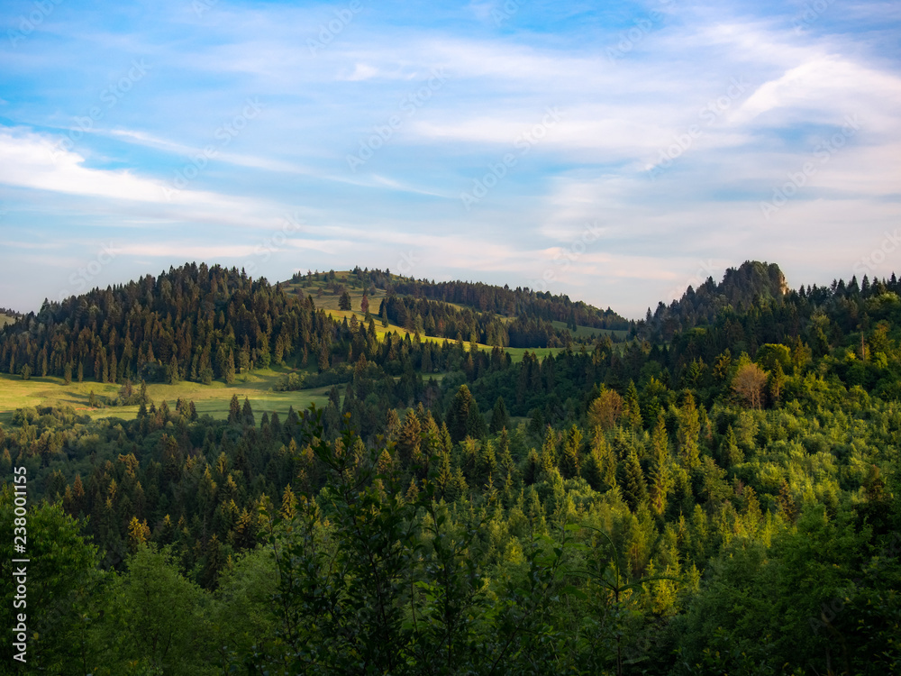 Husciawa, Wysoki Wierch and Rabsztyn Mount. Pieniny Mountains in summer. View from Mount Jarmuta.