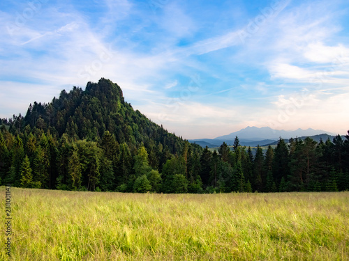Rabsztyn Mount and High Tatras at background. Pieniny Mountains in summer.