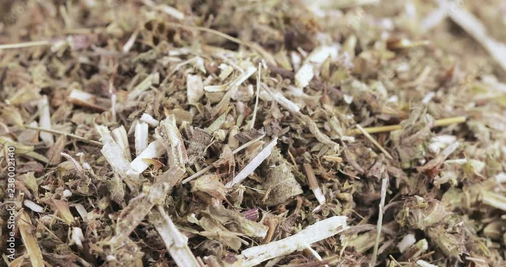 Motherwort grass in bulk Motherwort grass in bulk