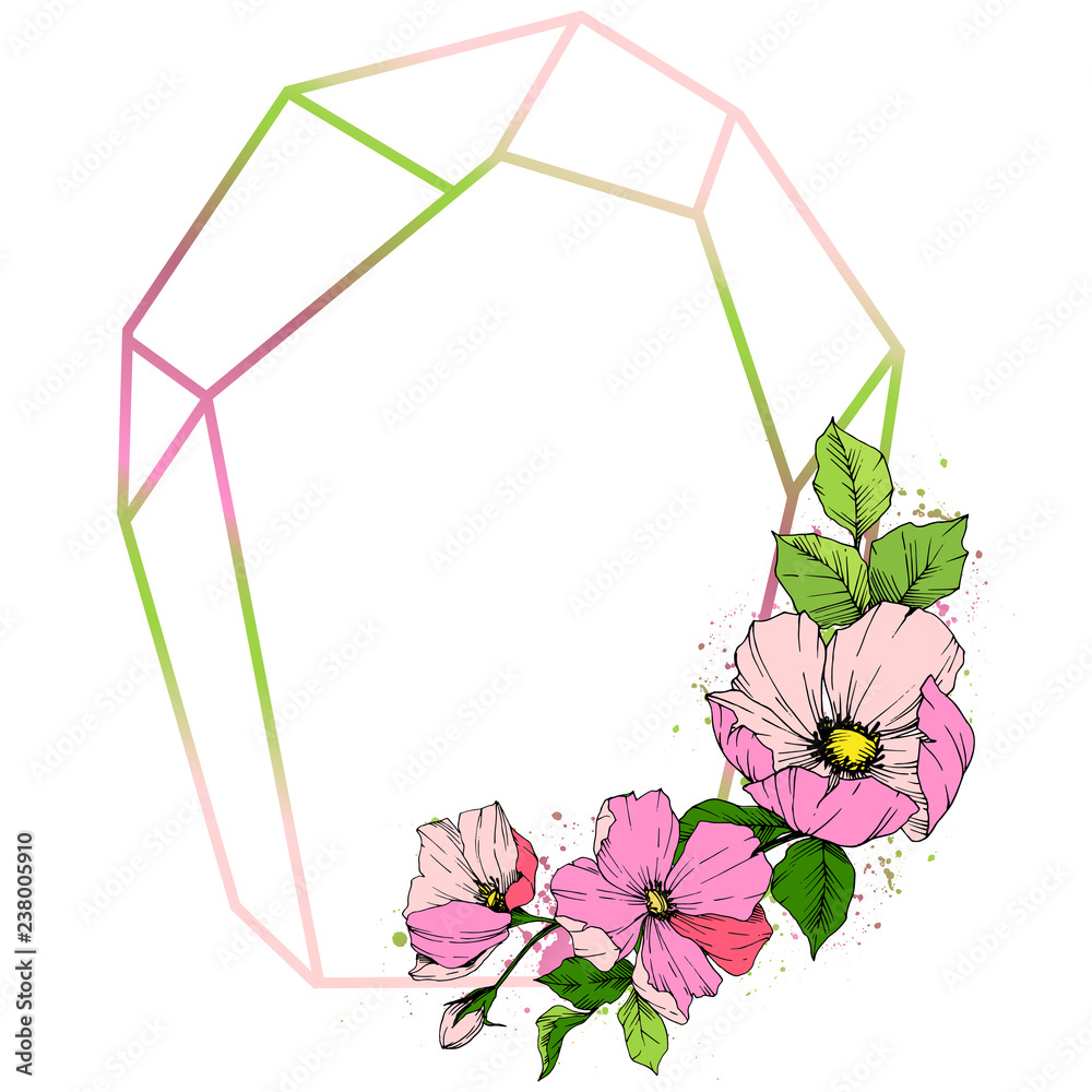 Vector Pink rosa canina flower. Wild spring leaf wildflower isolated. Engraved ink art. Frame border ornament square. Vector Pink rosa canina flower. Wild spring leaf wildflower isolated. Engraved ink art. Frame border ornament square.