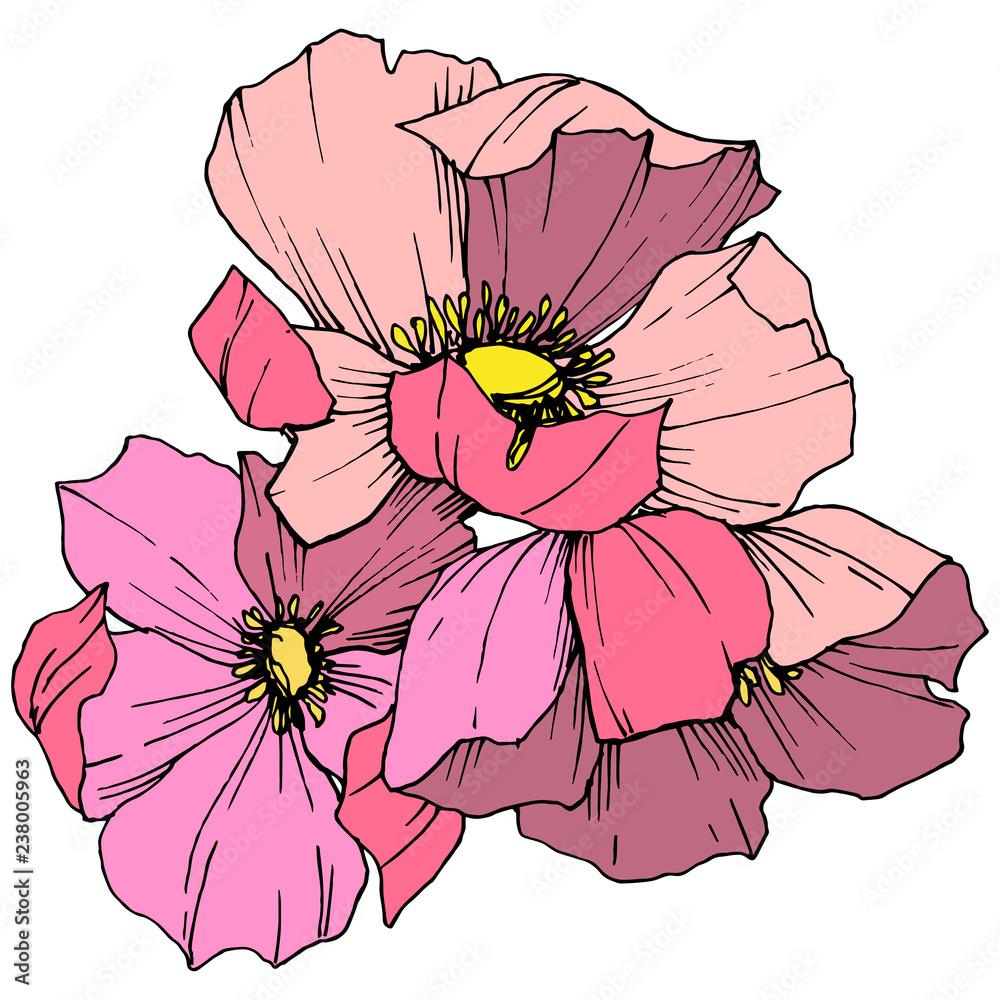 Fototapeta premium Vector Pink rosa canina. Floral botanical flower. Engraved ink art. Isolated rosa canina illustration element.