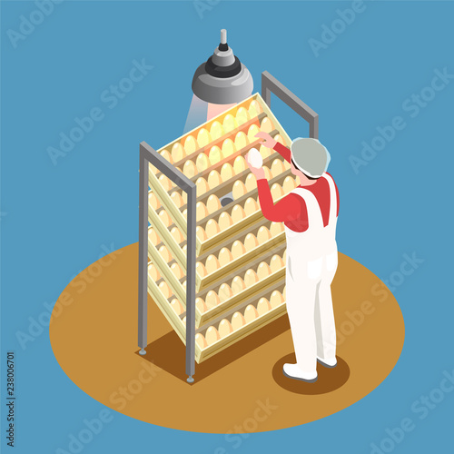 Chicken Farm Isometric Design Concept