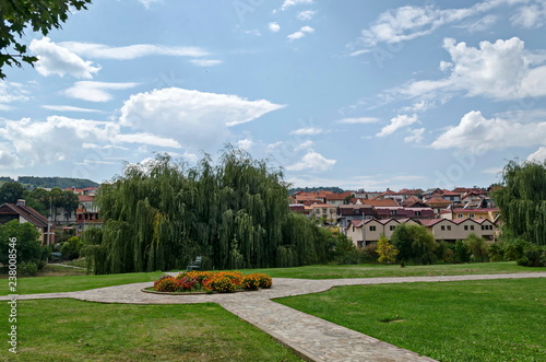 Obraz na plátně A residential district of contemporary macedonian  houses in  town Delchevo amon