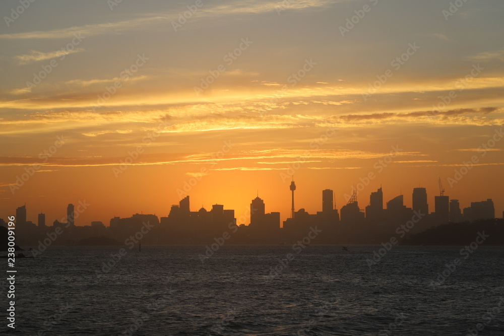 Sydney Skyline during sunset