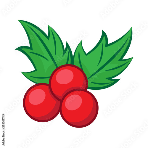 Christmas decorations, holly leaves and berries. Vector illustration.