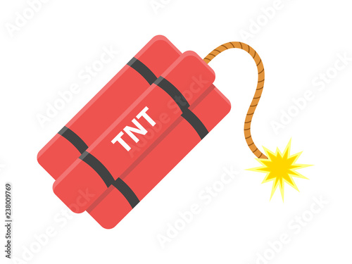 Dynamite with burning cord. TNT Bomb. Explode Weapon. Isolated white background. Vector illustration.
