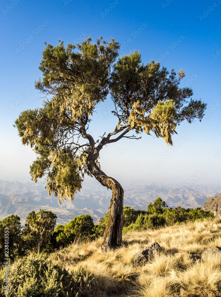 Äthiopien - Sämen-Nationalpark - Simien Mountains Äthiopien - Sämen-Nationalpark - Simien Mountains