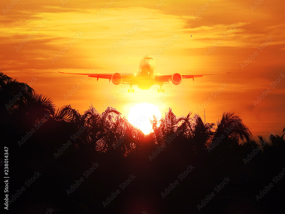 Double exposure of airplane and tree silhouette Double exposure of airplane and tree silhouette