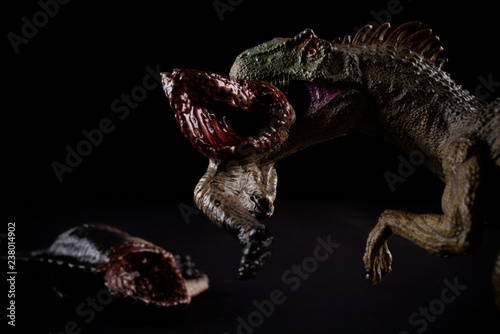 allosaurus biting piece of a dinosaur body on dark background © Freer