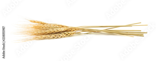 pearls barley grain seed on background