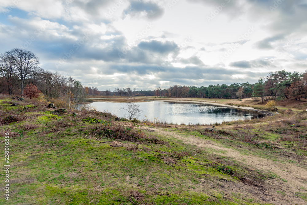 Water-filled old clay quarry in Boswachterij Dorst, a nature reserve near the village of Dorst, municipality of Oosterhout, Noord-Brabant, the Netherlands. The photo was taken on a cloudy day in the a