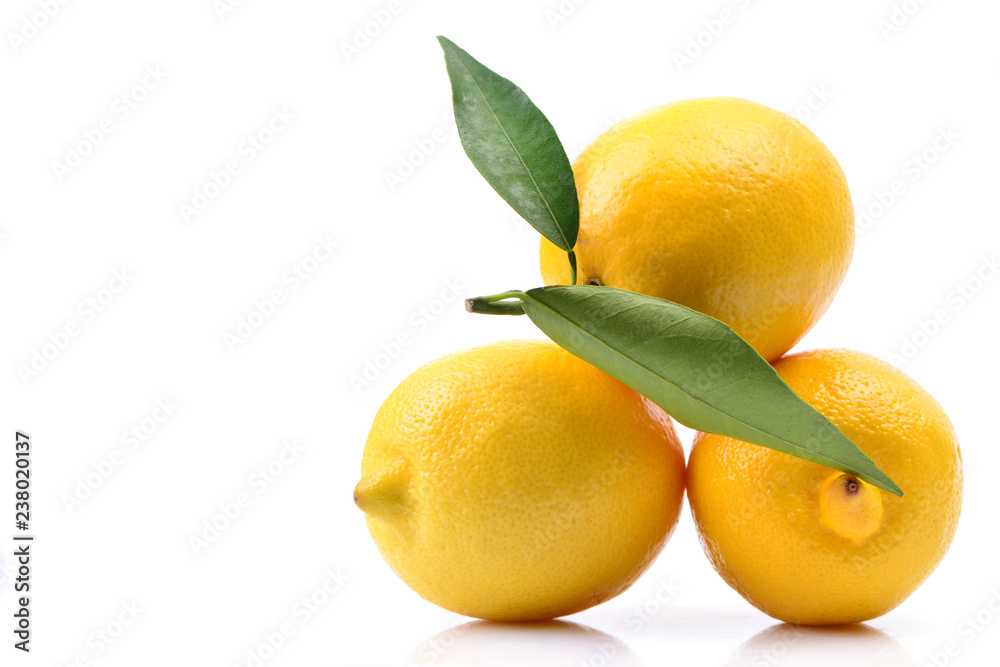 Lemon fruit on white background Lemon fruit on white background