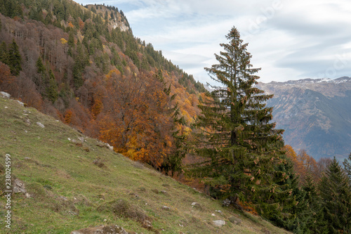 alpine Landschaft im Spätherbst