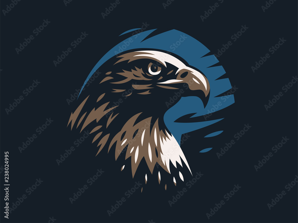 Eagle or hawk with outstretched wings. 