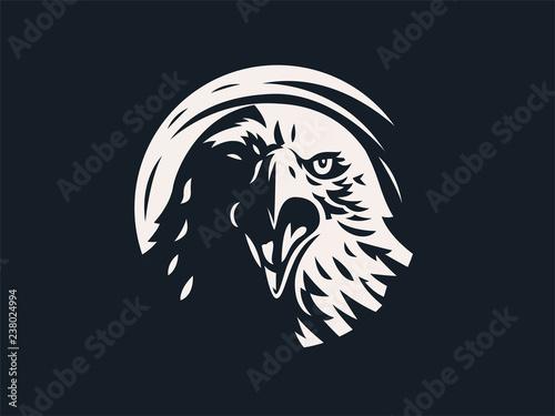 Eagle or hawk with outstretched wings. 