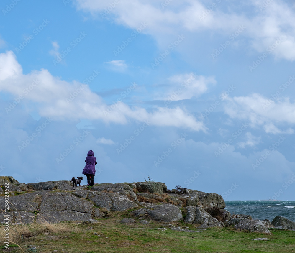 woman with purple jacket and a gray dog looking out over the ocean a windy day.