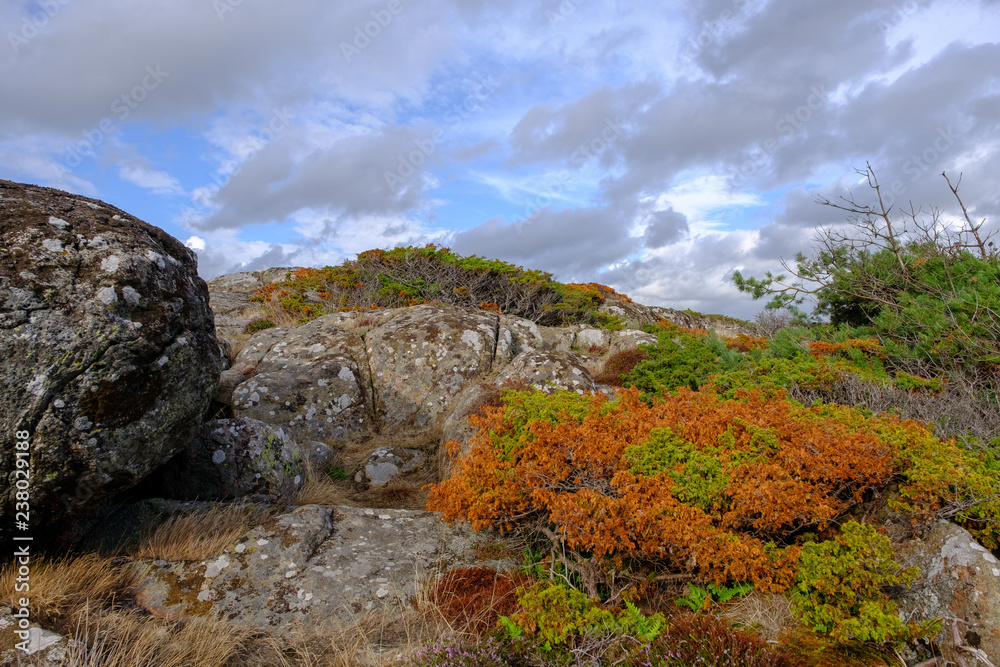 green and orange bushes at the rocks, white and gray clouds in the background
