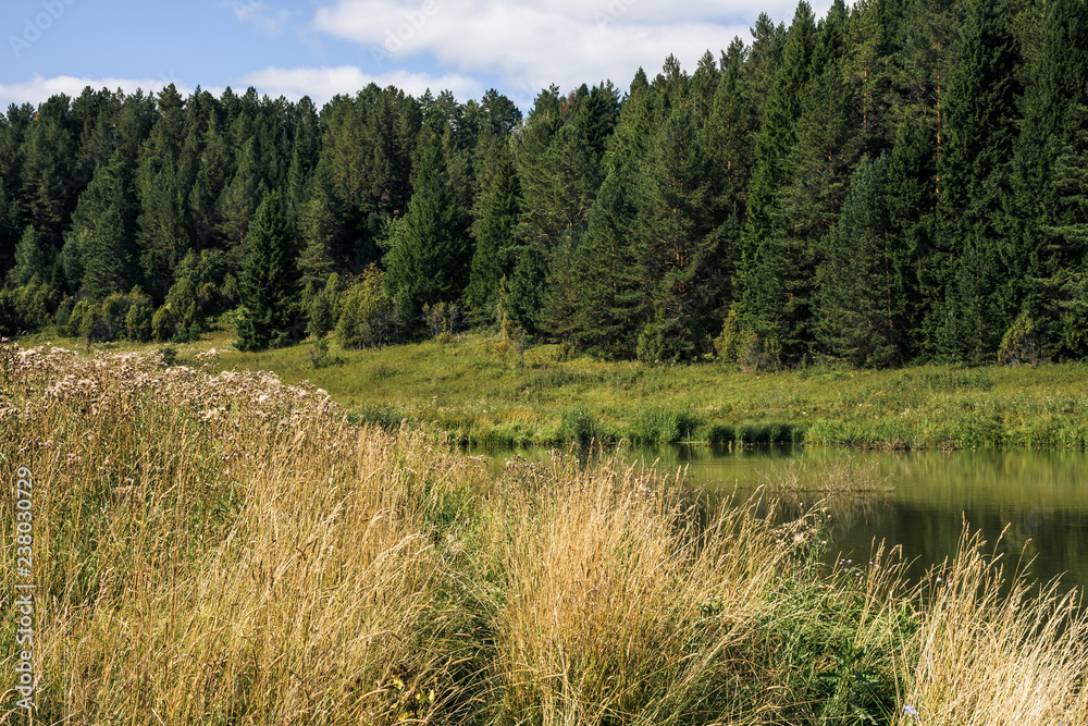Wild lake near the forest with pines Wild lake near the forest with pines