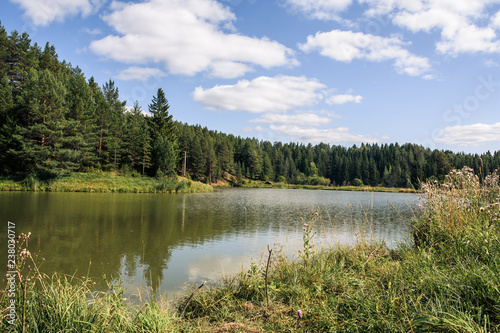 Fototapeta Naklejka Na Ścianę i Meble -  Wild lake near the forest with pines