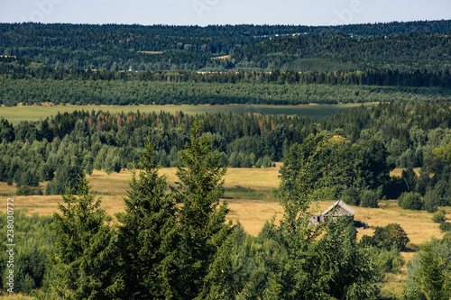 Wallpaper Mural Landscape with fields and forest Torontodigital.ca