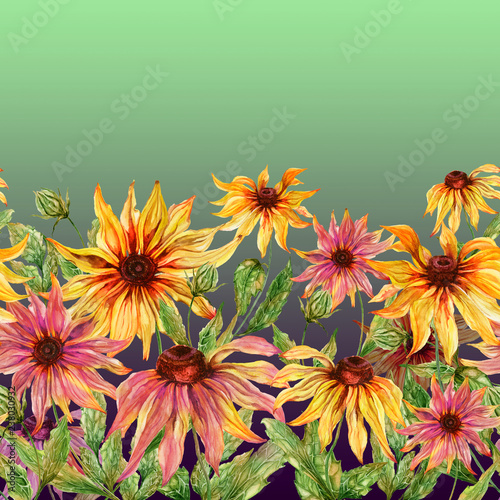 Beautiful echinacea flowers  coneflower  with leaves on green background. Seamless floral pattern. Watercolor painting. Hand painted illustration.