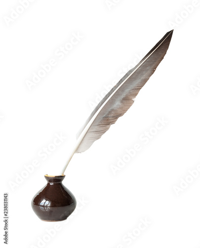 Quill in the inkwell