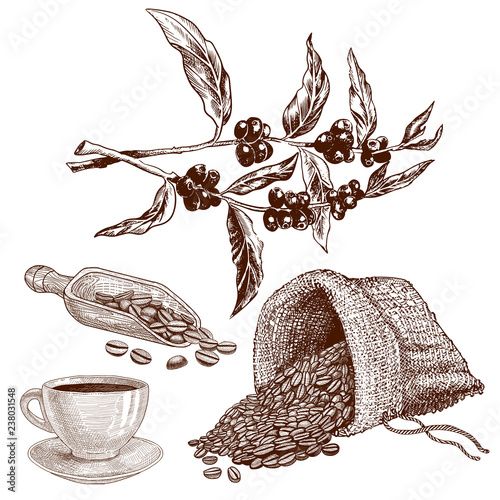 coffee set: beans in sack with branch and cup.