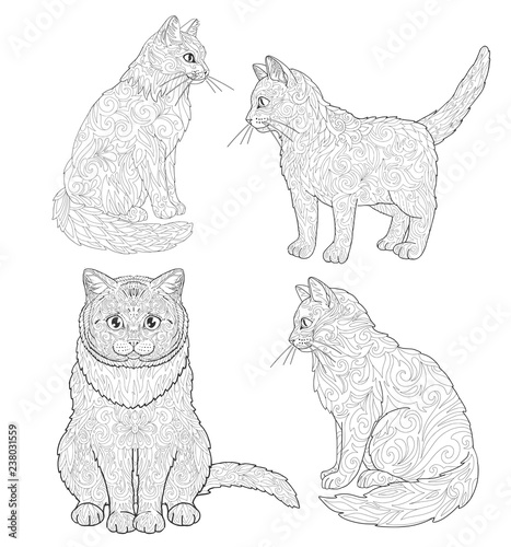 Fototapeta Naklejka Na Ścianę i Meble -  Cat and kitten coloring book page set. Doodle ornamental animal.