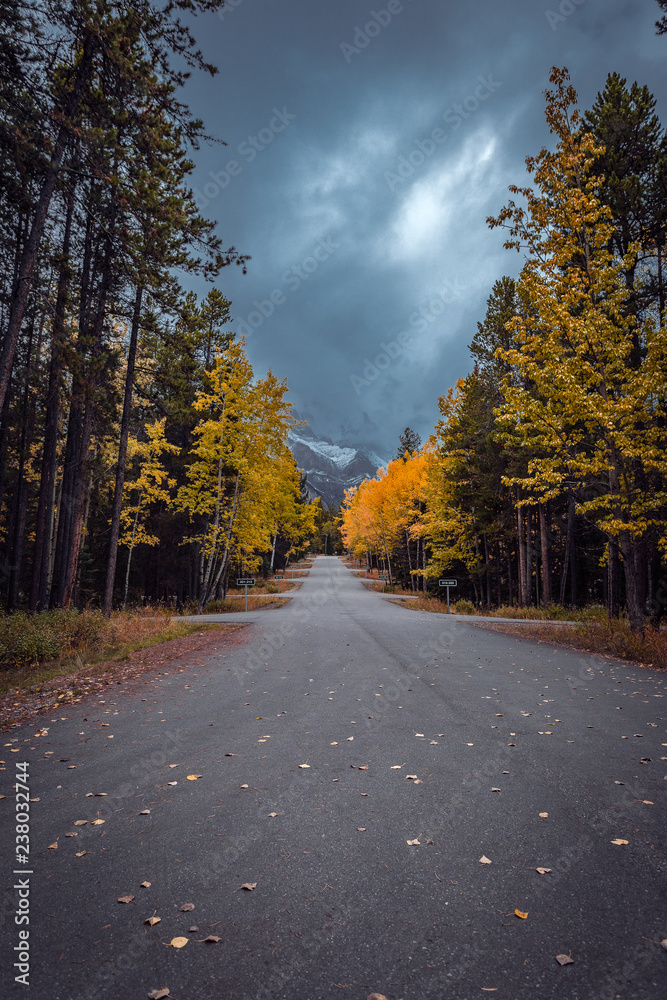 At Tunnel Mountain Village in Banff National Park, Alberta, Canada