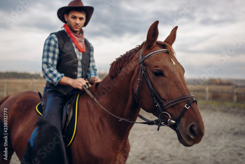 Cowboy riding a horse in desert valley, western