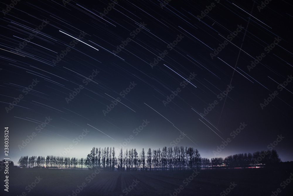 Fototapeta premium メタセコイア並木と星空