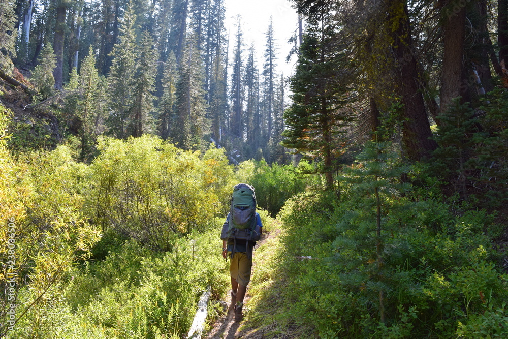 Obraz premium young man wilderness backpacking