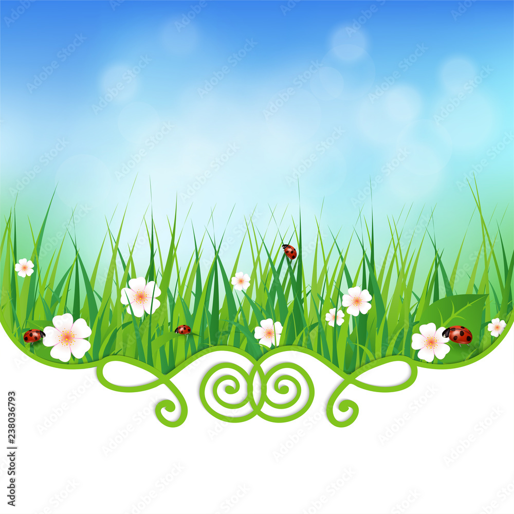 fresh natural background with grass