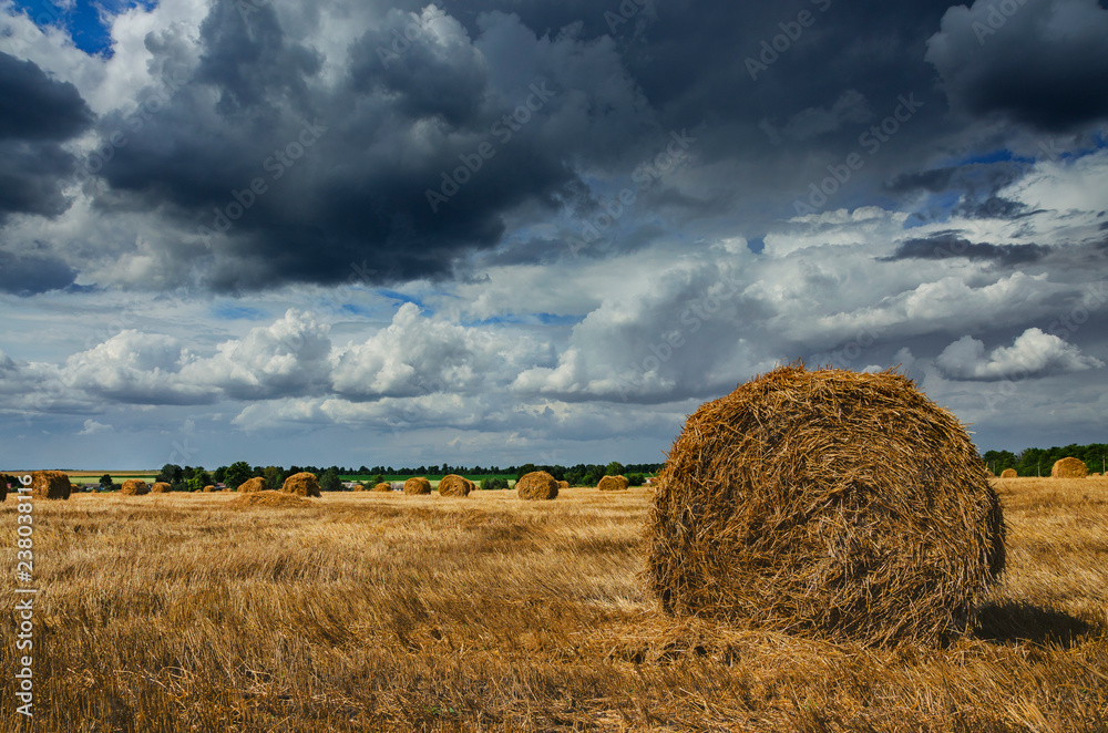 Straw bales in empty field after harvesting time on a background of dark dramatic clouds in overcast sky Straw bales in empty field after harvesting time on a background of dark dramatic clouds in overcast sky