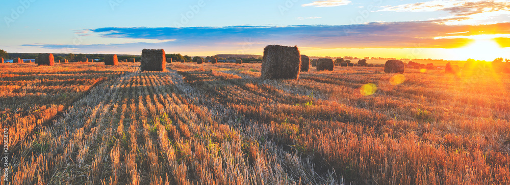 Obraz premium Panoramic view of hay bales on the field after harvesting illuminated by the last rays of setting sun