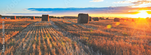 Panoramic view of hay bales on the field after harvesting illuminated by the last rays of setting sun photo