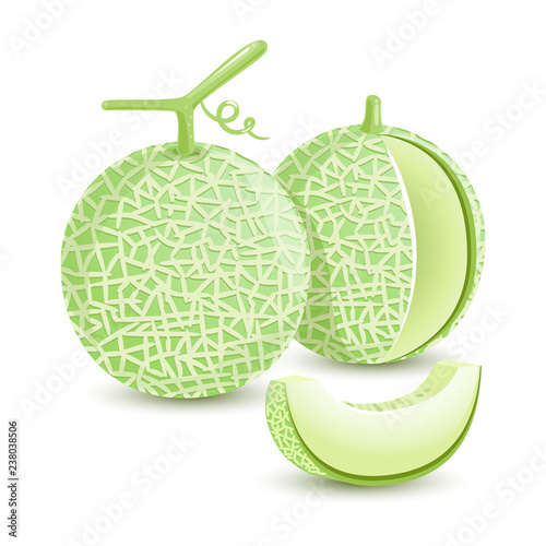 Melon Green Fresh Fruit