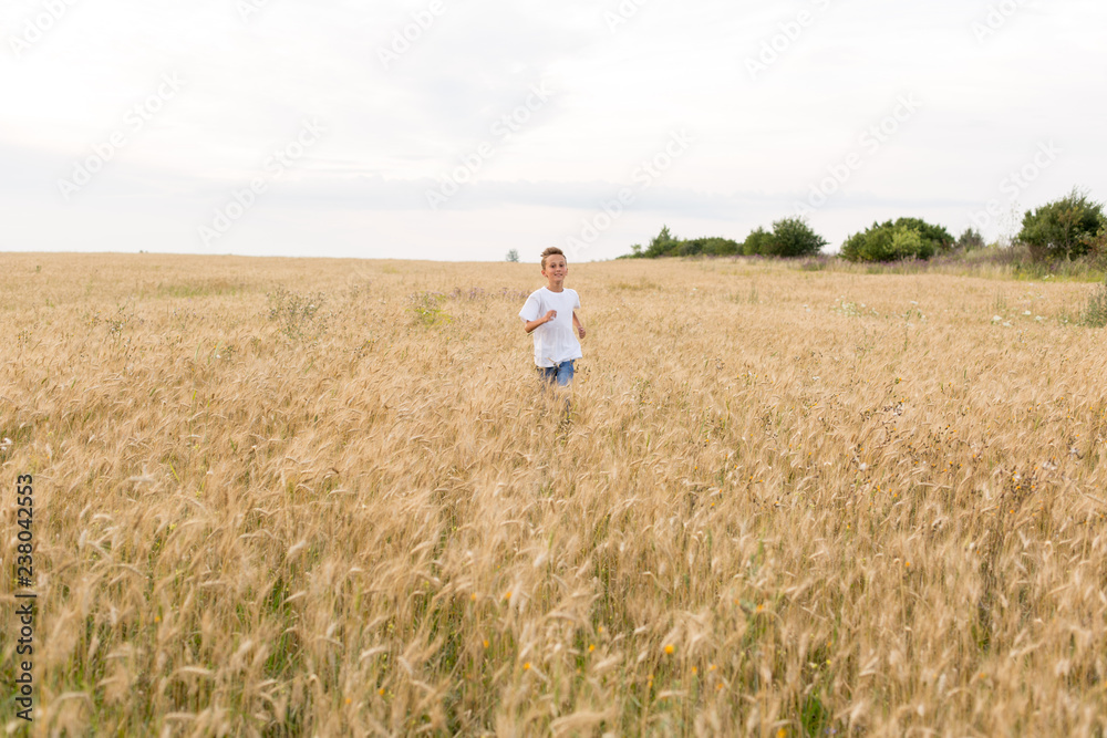 boy in wheat field. child. wheat field. boy running in the field