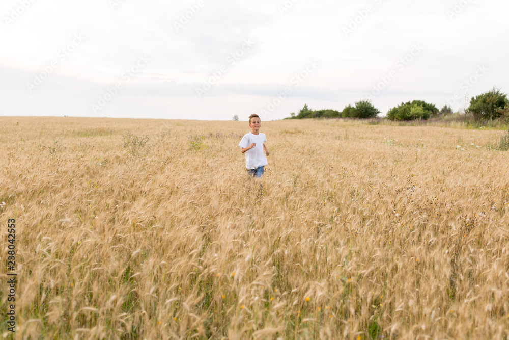boy in wheat field. child. wheat field. boy running in the field boy in wheat field. child. wheat field. boy running in the field