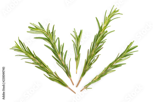 Branches of green rosemary.