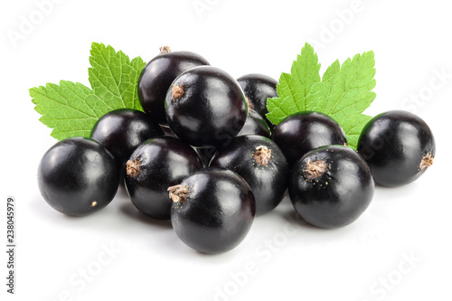 black currant with leaf isolated on white background photo