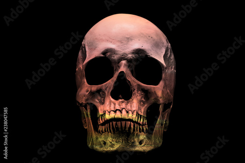 Sunset colors in the skull isolated on a black background